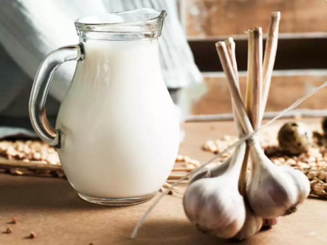 Mleko czosnkowe: właściwości lecznicze, jak gotować, korzyści