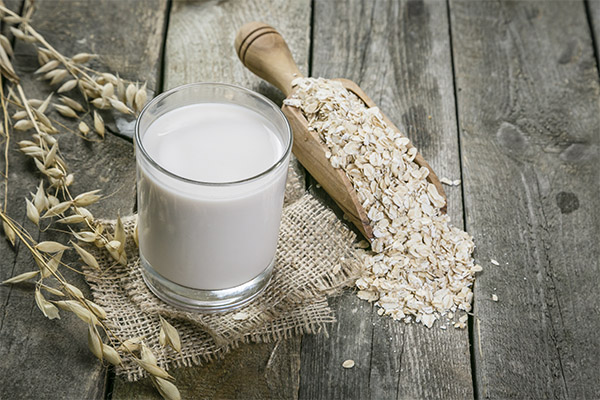 Korzyści i szkody mleka owsianego